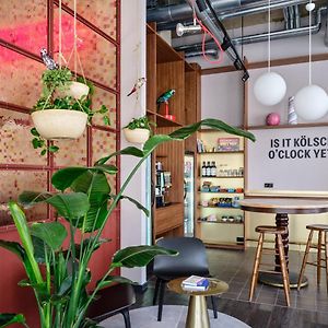 Stayery Cologne Ehrenfeld